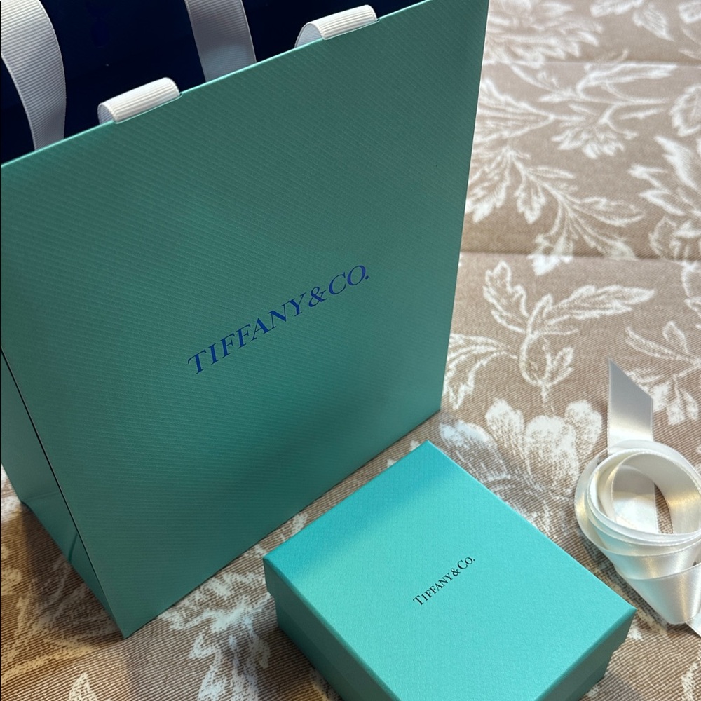 Tiffany & Co. Teal Gift Bag and Box with White Ribbon